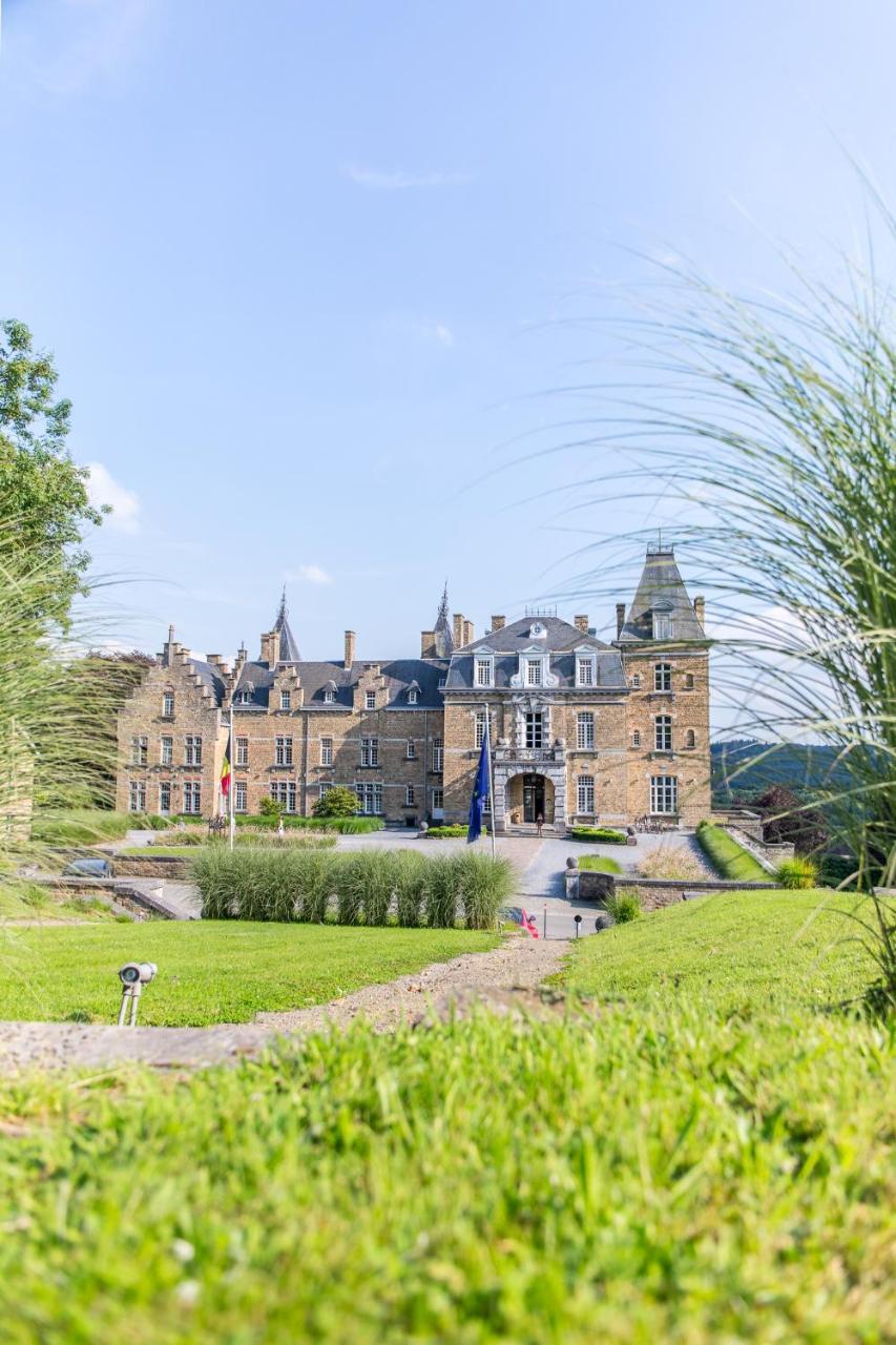 Domaine De Ronchinne - Insolites Maillen Exterior photo